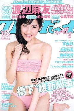 功夫足球国语版